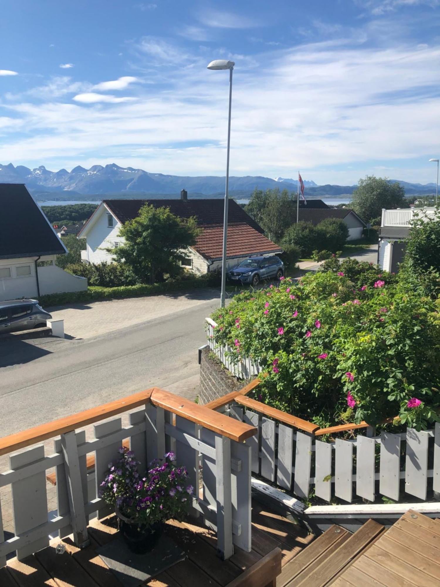 Panorama View *
