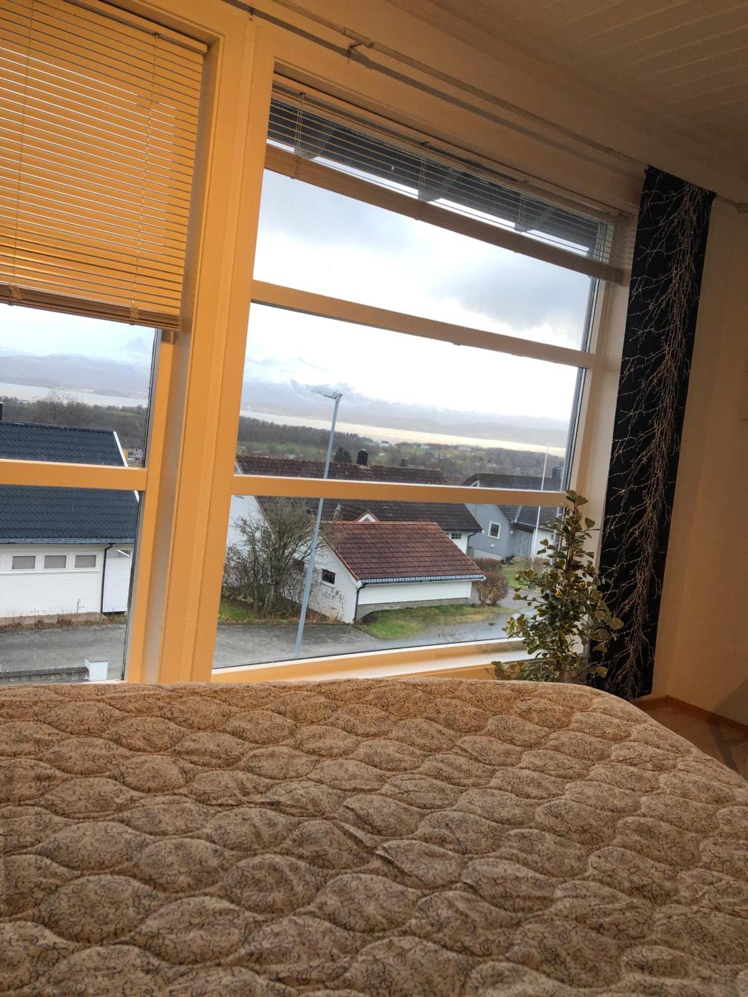 Panorama View *